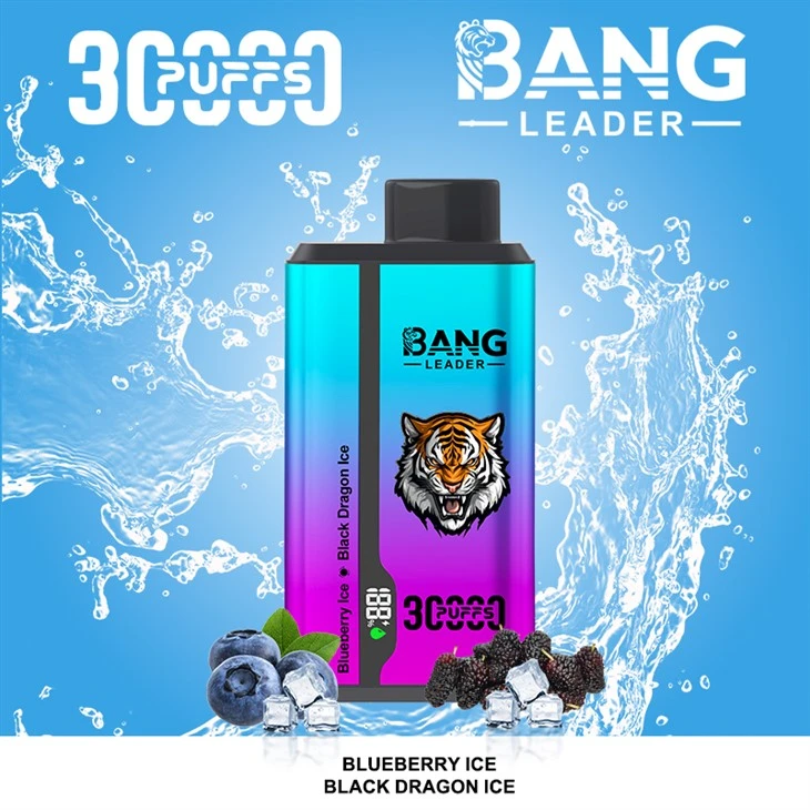 Bang Leader 30K Dual Flavors Disposable Vape