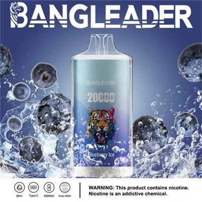 LEADER BANG 20000