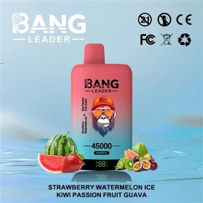 LEADER BANG 45K DUALNI FLOORS