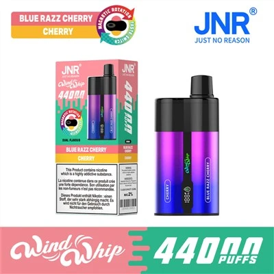 Jnr WindWhip 44000 Puffs 44k